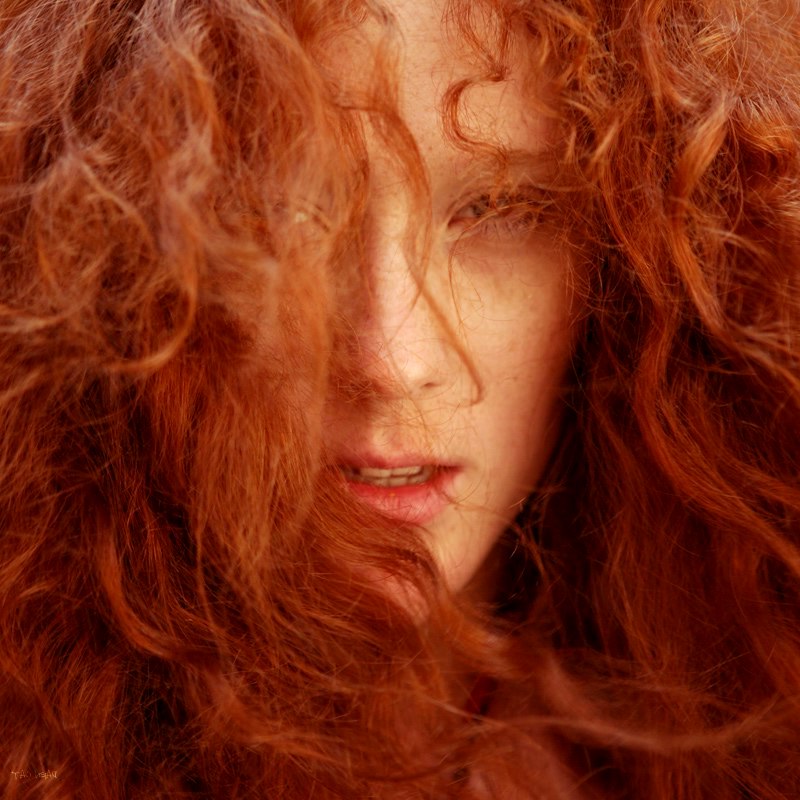 Рыжая модель с кудрявыми волосами сосет крупным планом