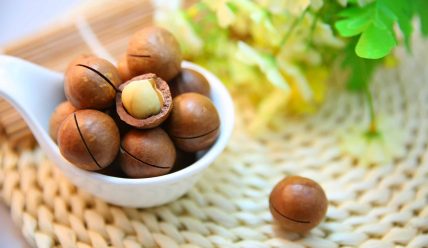 Почему полезно есть макадамские орехи?