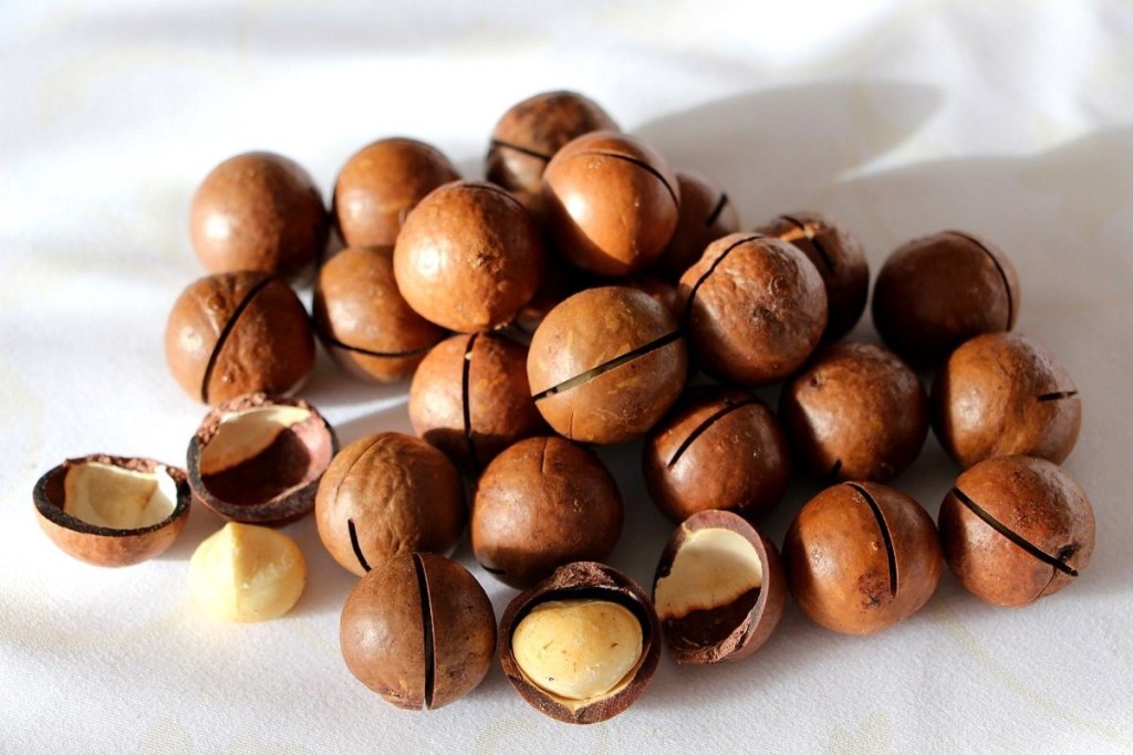 орехи макадамские в скорлупе