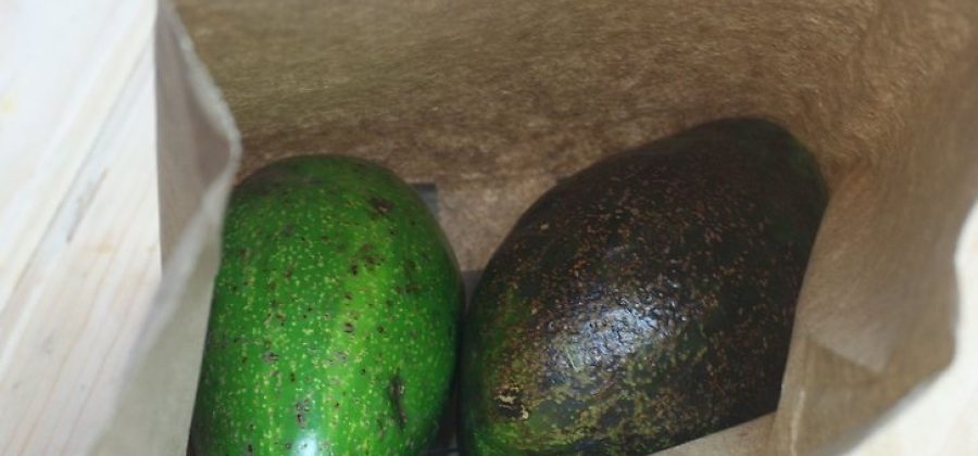 8 лучших способов хранить авокадо свежим