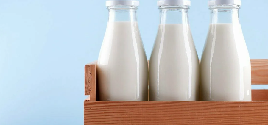 Какое молоко полезнее – козье или коровье