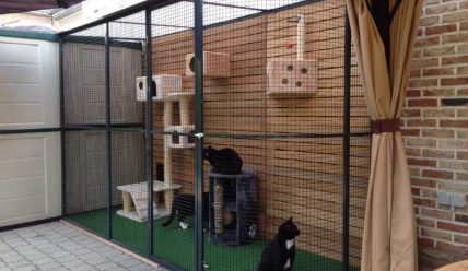 Уютные и безопасные вольеры для кошек: как создать идеальное место для вашего питомца