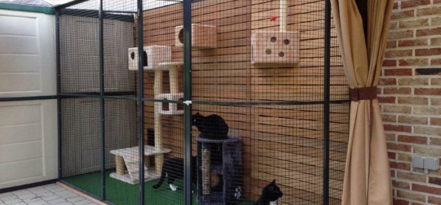 Уютные и безопасные вольеры для кошек: как создать идеальное место для вашего питомца