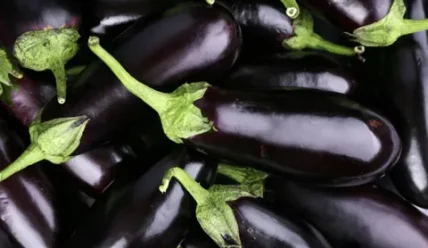 Как выбрать семена баклажана: Полное руководство для успешного урожая