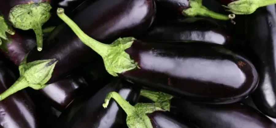 Как выбрать семена баклажана: Полное руководство для успешного урожая