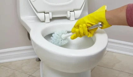 Выбор чистящего средства для унитаза