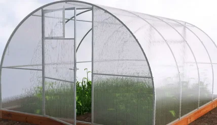 Как выбрать садовую теплицу из поликарбоната: комфортный урожай своими руками