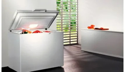 Практичный выбор: как подобрать идеальную морозильную камеру для дома