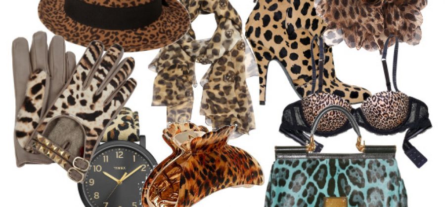 Леопардовые аксессуары: как выбрать и носить?